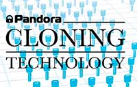 Немного о технологии Pandora CLONE
