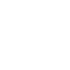 2CAN+2LIN (ОПЦИЯ)